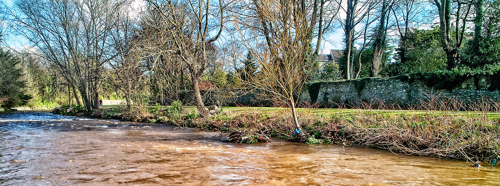 THE DAY AFTER THE DODDER FLOODED IN 2008 [OLD RAW FILES FROM A SIGMA DP1 HAVE BEEN REPROCESSED]-136108