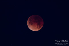 The total lunar eclipse