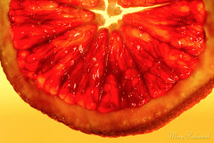 Blood Orange_365.jpg
