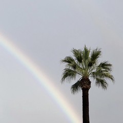 9/365: Rainbow connection