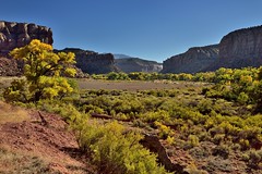 Towering Mesas While Enjoying a Drive Along the Indian Creek Corridor Scenic Byway (Bears Ears National Monument)