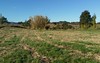 lot 6, Horns crossing rd, Vacy NSW