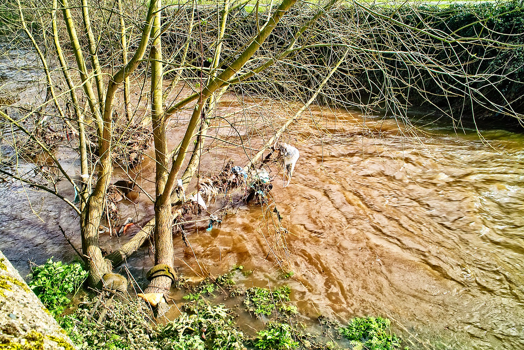 THE DAY AFTER THE DODDER FLOODED IN 2008 [OLD RAW FILES FROM A SIGMA DP1 HAVE BEEN REPROCESSED]-136126