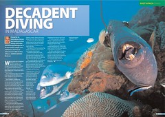 26---diver_-madagascar-diving_000