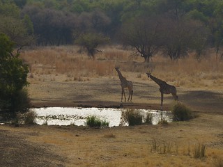 Zimbabwe Hunting Safari 70