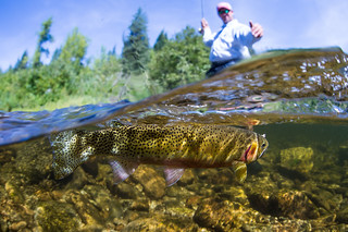 Idaho Big Game Hunting and Fishing 152