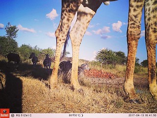 Zimbabwe Hunting Safari 65