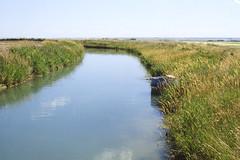 Anglų lietuvių žodynas. Žodis irrigation ditch reiškia drėkinimo griovių lietuviškai.