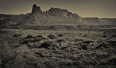 Looking Across Utah Landscape to Bridger Jack Mesa (Black & White, Bears Ears National Monument)