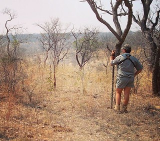 Zimbabwe Hunting Safari 73