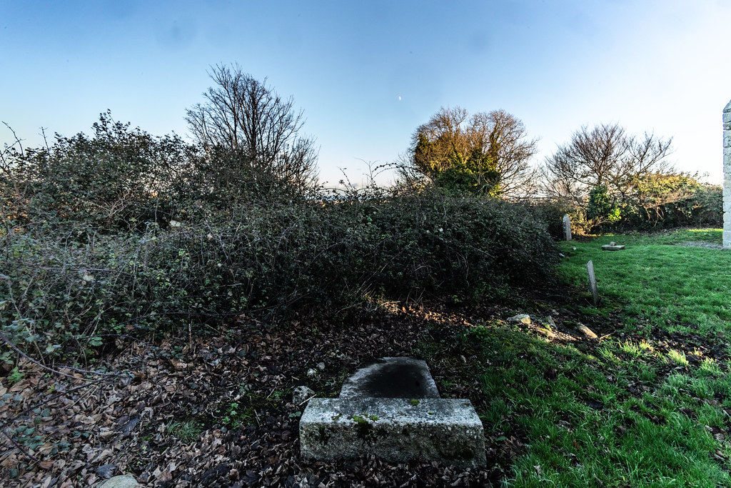 ANCIENT CHURCH AND GRAVEYARD AT TULLY [LAUGHANSTOWN LANE NEAR THE LUAS TRAM STOP]-134589