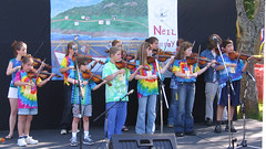 all-the-step-fiddlers_32059721_o