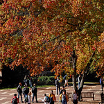 Students walk to class on North Campus at the Brickyard in 2017.