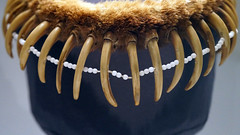 Bear Claw Necklace (Pawnee)