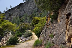 Walking a Nature Trail in the Hetch Hetchy Valley (Yosemite National Park)