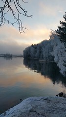 1st Upright Landscape share / Foggy Frosty Morning (-8 Celsius)
