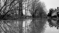 Inondations - Crue de la seine - Janvier 2018