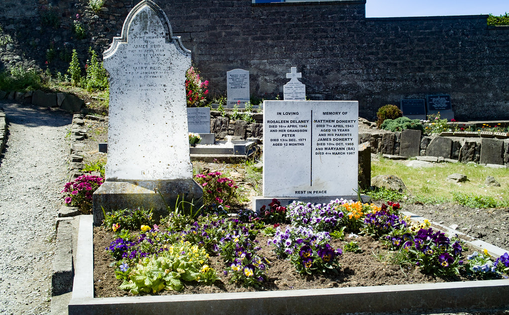 BACK IN JANUARY 2009 I VISITED THE OLD GRAVEYARD IN HOWTH [I HAD TO LEAVE BECAUSE I WAS ATTACKED BY GULLS]-135907