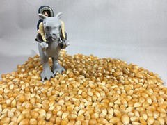2018-019 - Popcorn Day