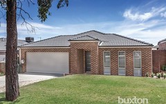 4 Greenside Place, Miners Rest Vic