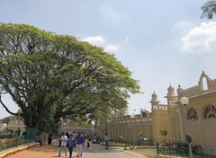 India (Mysore) Courtyard of Mysuru Palace