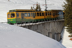 Triebwagen BDhe 4/8 133 der Wengernalpbahn WAB ( Baujahr 1988 - Hersteller SLM Nr. 5365 - Zahnradbahn - Schmalspur 800 mm - Triebzug ) unterhalb der Kleinen Scheidegg im Berner Oberland im Kanton Bern der Schweiz