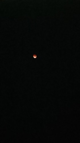 ベランダから皆既月食見えます。お月様が赤...