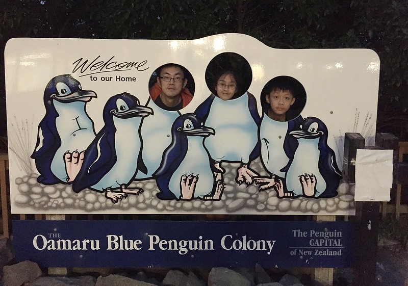 20180130_06 Blue Pengium colony 看企鵝 007s