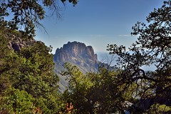 Boot Rock Just Beyond the Trees (Big Bend National Park)