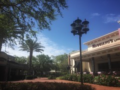 2018-3-2 A sunny day in Orlando