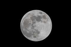 Full-Moon-Late-March-DSC_5254.jpg