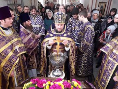 18 марта 2018 (58)