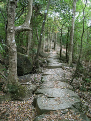 Lantau Island Hiking Trail