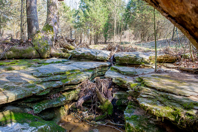 Hoosier National Forest - Wesley Chapel Gulf - March 10, 2018