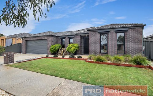 17 Holstein Cl, Delacombe VIC 3356