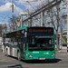 Bus Graz