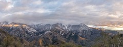 Sequoia National Park panorama