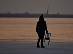 oostvaardersplassen cold on the ice