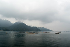 厳島 - Itsukushima