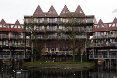 Rotterdam houses