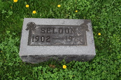 Anglų lietuvių žodynas. Žodis seldon reiškia <li>seldon</li> lietuviškai.
