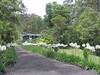 1117 Tuntable Creek Road, Nimbin NSW