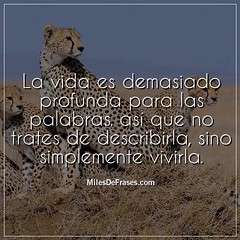 The Worlds Most Recently Posted Photos Of Frases And Vida Flickr