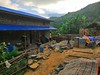 Building Typology: Load Bearing Stone and Mud Mortar Masonry; Location: Halesi Tuwachung Rural Municipality-07; Khotang Nepal