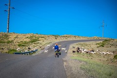 We ran into a little traffic along Ruta 40 in Argentina.
