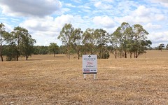 Lot 204 Hillview, Louth Park NSW