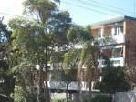 12/168 Pacific Parade, Dee Why NSW