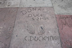 Donald Duck's Footprints at the TCL Chinese Theatre • <a style="font-size:0.8em;" href="http://www.flickr.com/photos/28558260@N04/43986429960/" target="_blank">View on Flickr</a>