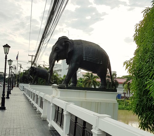 Elephants bridge