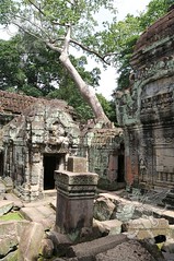 Angkor_Preah Khan_2014_36